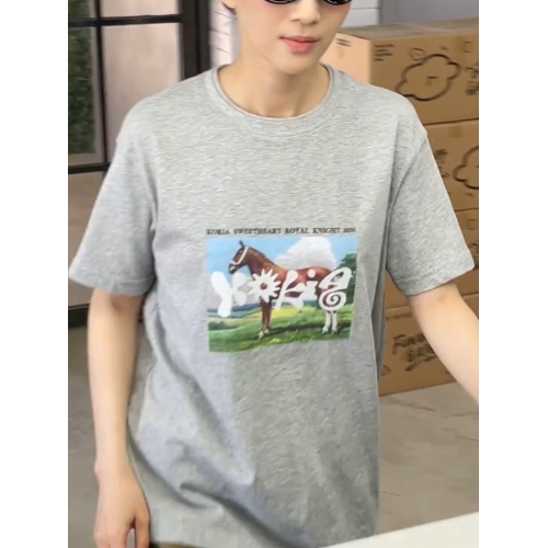 灰色小馬印花短袖女t恤2025新款寬松顯瘦設計感美式復古氣質上衣