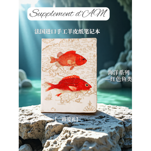 法國手工羊皮紙筆電手賬日記本復古高顔值創意禮物禮盒海洋系列