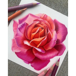 美國Prismacolor霹靂馬彩鉛150色 24 36 48 72 132油性彩鉛筆