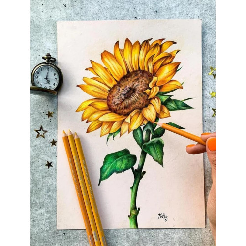 美國Prismacolor霹靂馬彩鉛150色 24 36 48 72 132油性彩鉛筆