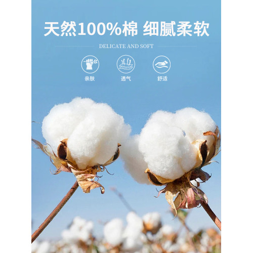 【100%純棉】啄木鳥運動短褲男夏季短褲寬松大碼短褲休閒五分褲C