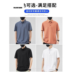 夏潮流襯衫領短袖POLO衫2025新款純色高級感短袖T恤男上