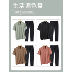 啄木鳥官方爸爸夏季套裝2025新款男裝冰絲短袖t恤中年POLO衫男