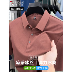 啄木鳥2025新款中年男士短袖夏季薄款翻領polo衫大碼爸爸半袖t恤C