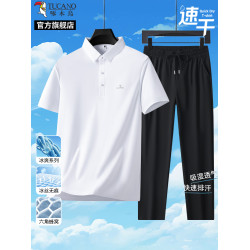 啄木鳥官方旗艦店爸爸夏套裝冰絲短袖T恤套裝中年POLO衫短袖男