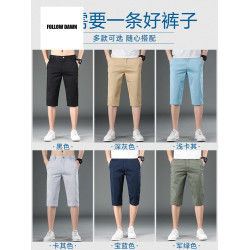 短褲男夏季薄款寬松七分休閒褲2025中褲夏天褲子外穿馬褲
