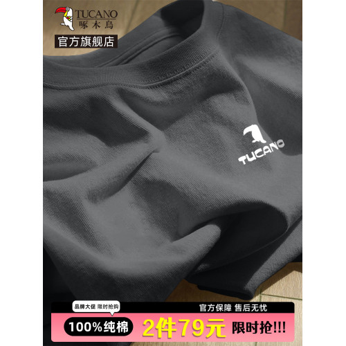 啄木鳥官方純棉t恤男長袖2025新款秋季寬松大碼打底衫內搭上衣服Y