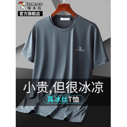 啄木鳥冰絲短袖t恤男士2025新款夏季薄款運動速乾爸爸夏裝上衣K