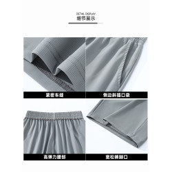啄木鳥爸爸男士短褲夏外穿大碼冰絲防曬休閒褲男款高彈五分褲子Y