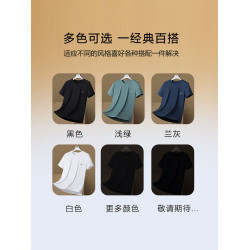 啄木鳥冰絲短袖t恤男夏季薄款2025寬松彈力速乾圓領運動休閒體恤K