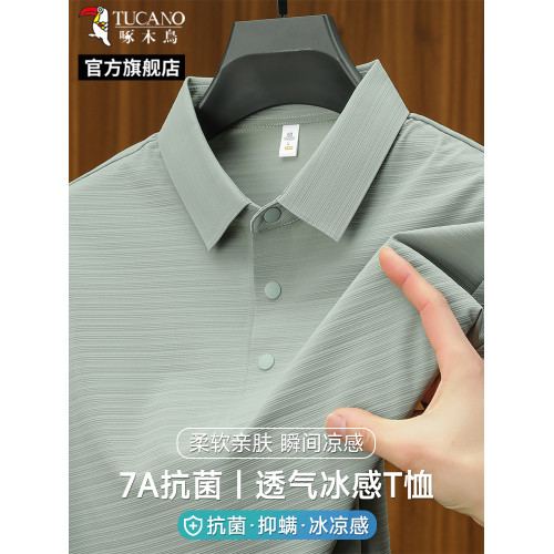 啄木鳥2025夏季新款薄款男士短袖t恤薄款翻領爸爸夏裝polo衫上衣C