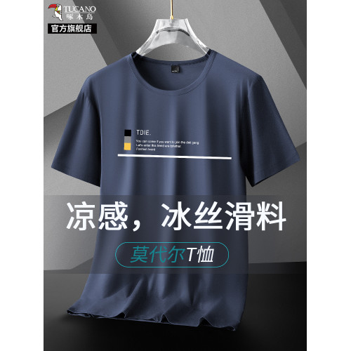 啄木鳥冰絲莫代爾短袖t恤男士夏季薄款2025新款寬松圓領速乾體恤K