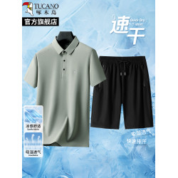 啄木鳥2025夏季新款冰絲套裝男短袖t恤短褲運動休閒中年爸爸父親