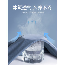啄木鳥官方冰絲無痕2025夏季新款男士短袖t恤薄款爸爸裝polo衫男C