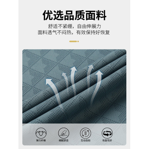 啄木鳥中年爸爸polo衫2025新款短袖男士冰絲透氣上衣父親t恤男裝C