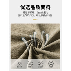 啄木鳥2025新款男士短袖t恤翻領polo衫休閒百搭爸爸父親t恤夏裝C