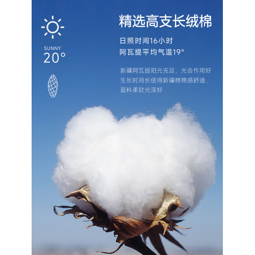 啄木鳥2025新款短袖t恤男夏季棉質薄款半袖V領新中式打底衫男裝C