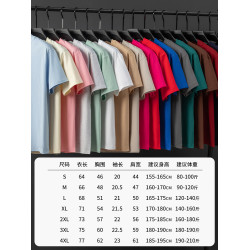【260g重磅純棉】啄木鳥夏季100%棉圓領短袖T恤男寬松半袖打底衫C