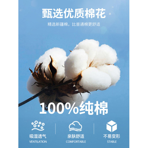 【260g重磅純棉】啄木鳥夏季100%棉圓領短袖T恤男寬松半袖打底衫C