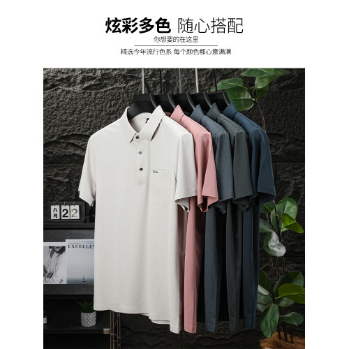 【真口袋】啄木鳥2025夏季薄款t恤男士短袖冰絲爸爸翻領polo衫男C