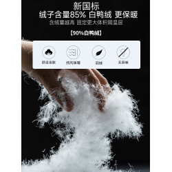 WASSUP Nuraya潮牌新國標90%白鴨絨男士立領羽絨服冬季棉衣外套男