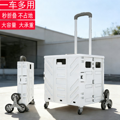買菜小拉車小推車折疊購物車家用手拉車小拖車野餐車拿快遞可爬梯