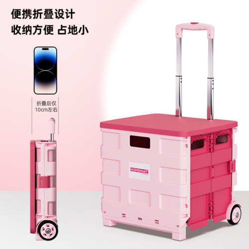 可攜式買菜車小拉車手推拉桿塑膠折疊超市購物車戶外露營