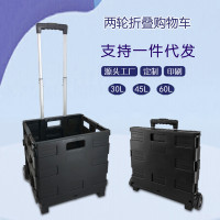 兩輪折疊購物拉桿車塑膠買菜取快遞小拉車可攜式露營手推車
