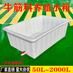 加厚牛筋水箱塑膠長方形家用儲水缸大號水罐水産養殖養龜魚盆