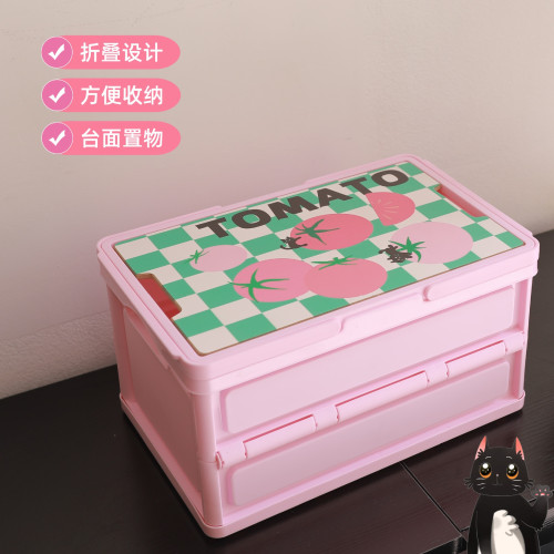 煤球喵系列彩色收納箱18升折曡提籃節日禮品箱露營箱兒童零食收納
