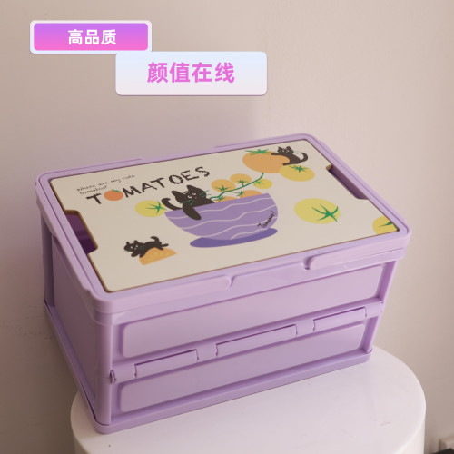 煤球喵系列彩色收納箱18升折曡提籃節日禮品箱露營箱兒童零食收納