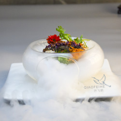 耐高溫側面開口色拉碗特色菜乾冰玻璃意境碗分子美食創意餐具料理