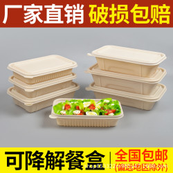 一次性打包盒分格長方形可降解環保餐盒帶蓋外賣兩格玉米澱粉飯盒