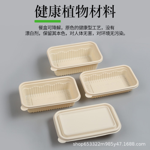 一次性打包盒分格長方形可降解環保餐盒帶蓋外賣兩格玉米澱粉飯盒