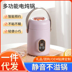 多功能電燉鍋家用多功能輔食鍋燉盅迷你可攜式煮粥煲湯神器
