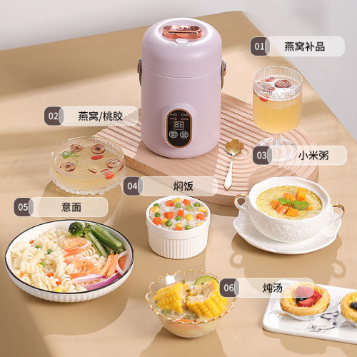 多功能電燉鍋家用多功能輔食鍋燉盅迷你可攜式煮粥煲湯神器