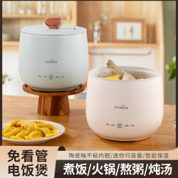 多功能迷你小電飯鍋智能家用電飯鍋煮飯煮粥蒸煮一體鍋