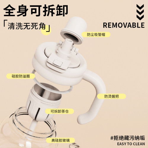 高硼矽耐高溫玻璃杯女生高顔值花茶杯茶水分離水杯可拆卸吸管杯子