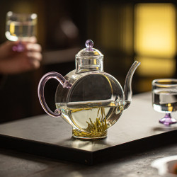耐熱高硼矽玻璃手執壺水注泡茶壺酒壺醒酒器電陶爐過濾花茶壺