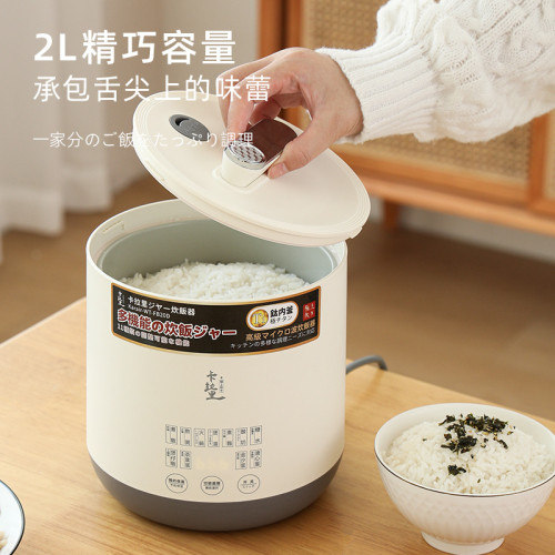 日本智能家用電飯煲迷你小型多功能智能不沾內膽多功能煮飯鍋