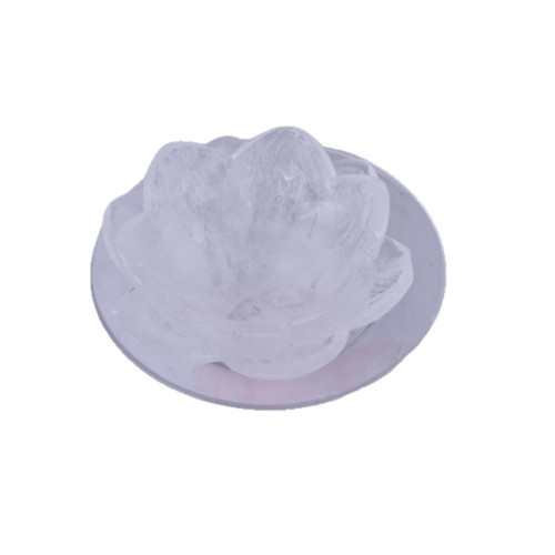 三信 蓮花刺身冰碗矽膠模具DIY日料立體食品級冰模冰塊刺身碗磨具