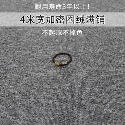 圈絨滿鋪臥室地毯KTV酒店賓館台球廳辦公室 寫字樓 工程地氈加密