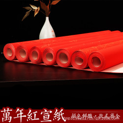 四尺六尺萬年紅灑金宣紙半生熟大紅紙剪紙空白春聯對聯紙
