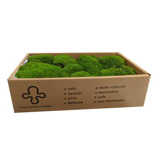苔源精品永生苔蘚青苔白髮蘚微景觀盆景造景乾花diy小盒裝