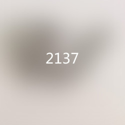 2137
