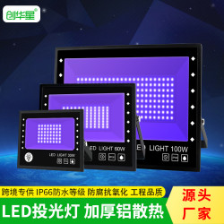 跨境LED投光燈 30W60W100W防水紫光投光燈泛光燈戶外射燈廠家直銷