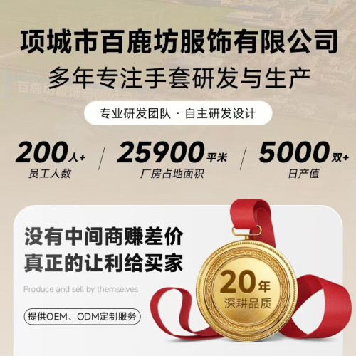 河南手套女士手套秋冬皮手套綿羊皮加絨保暖真皮手套 河南手套女士手套秋冬皮手套綿羊皮加絨保暖真皮手套