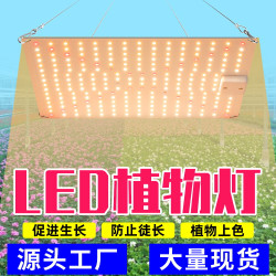 謙潤照明植物補光燈LED量子板生長燈全光譜室內大棚育苗種植燈50w