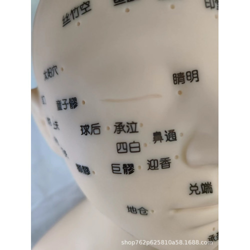 皮膚管理頭模學美容假人頭頭部模型美容模特頭臉部按摩頭模嫁接睫