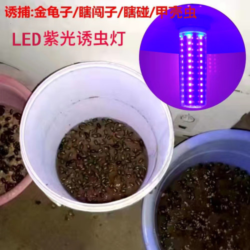 太陽能誘蟲燈魚塘喂魚燈紫光黑光引蟲燈引誘捕蟲誘蛾滅蚊燈燈